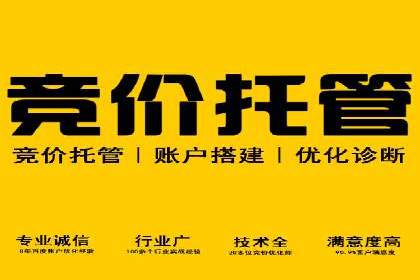 网络推广中竞价广告的投放策略及成功案例